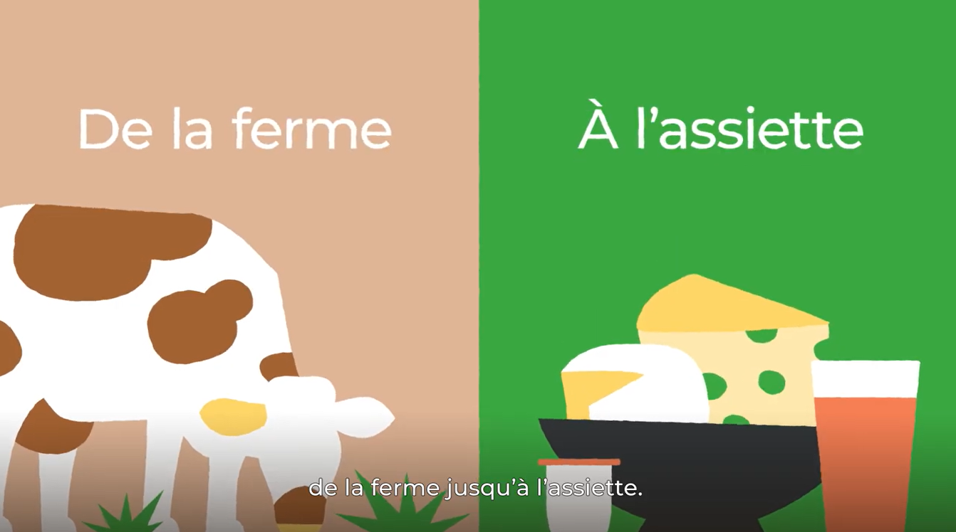 Parcours des produits laitiers Bio